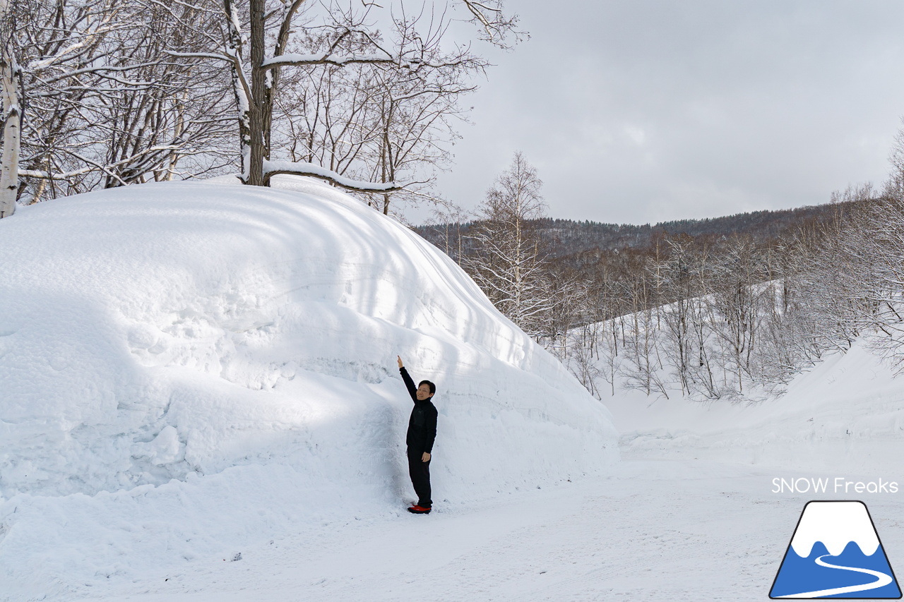 増毛町営暑寒別岳スキー場｜なんと、現在の積雪は、驚異の「280cm」！豪雪当たり年の暑寒別岳スキー場、最高です。